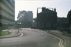 wpe77564.gif (728253 bytes)